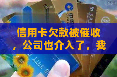 信用卡欠款被，公司也介入了，我该怎么办？