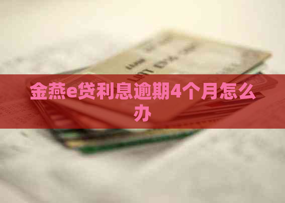 金燕e贷利息逾期4个月怎么办