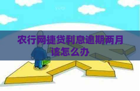 农行网捷贷利息逾期两月该怎么办