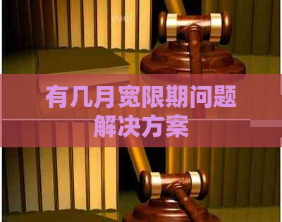 有几月宽限期问题解决方案