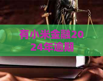 有小米金融2024年逾期