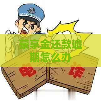 蒙享金还款逾期怎么办
