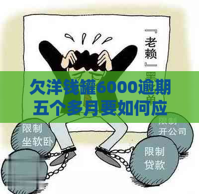 欠洋钱罐6000逾期五个多月要如何应对