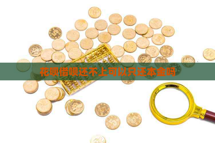 信用卡网贷还不上可以只还本金吗