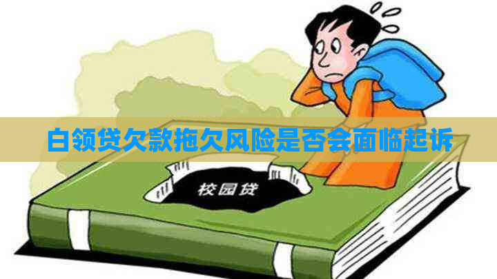 白领贷欠款拖欠风险是否会面临起诉