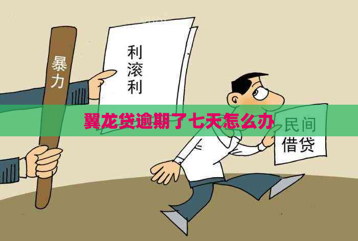 翼龙贷逾期了七天怎么办