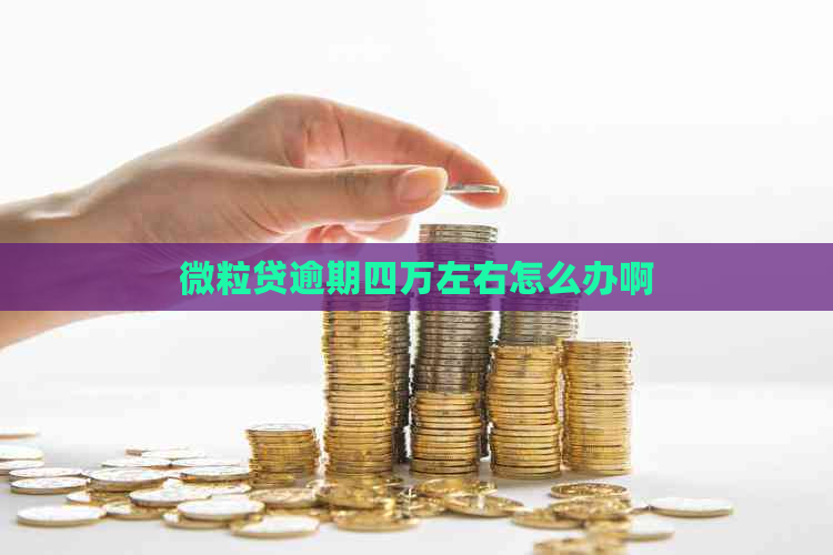 微粒贷逾期四万左右怎么办啊