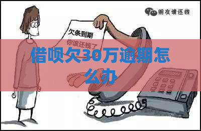 网贷欠30万逾期怎么办