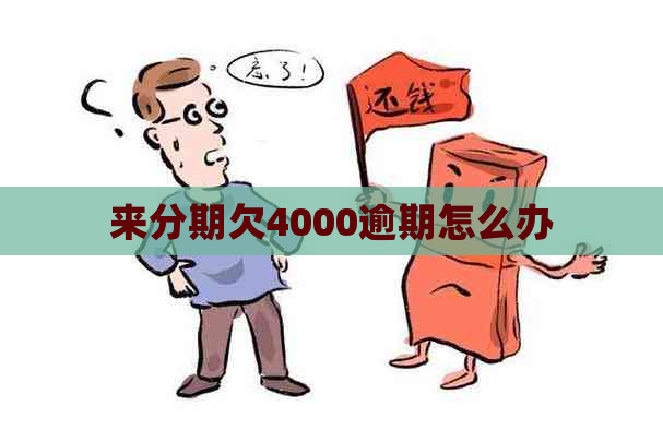 来分期欠4000逾期怎么办