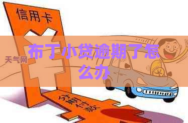 布丁小贷逾期了怎么办
