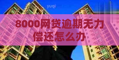8000网贷逾期无力偿还怎么办