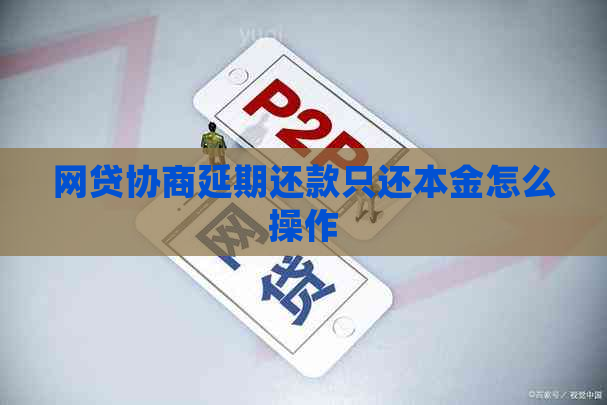 网贷协商延期还款只还本金怎么操作