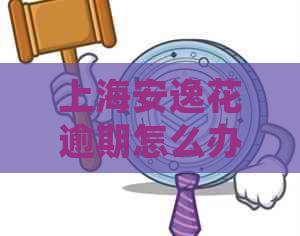 上海安逸花逾期怎么办处理方法分享