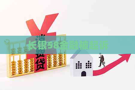 长银58金融被起诉
