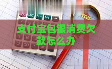 支付宝包银消费欠款怎么办
