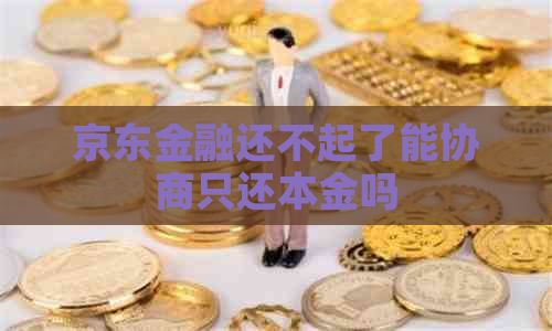 京东金融还不起了能协商只还本金吗