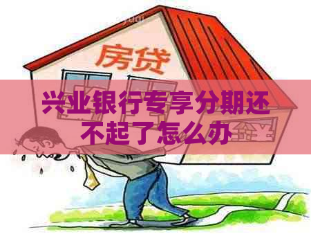 兴业银行专享分期还不起了怎么办