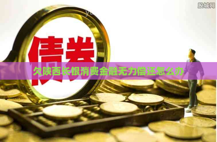 欠陕西长银消费金融无力偿还怎么办