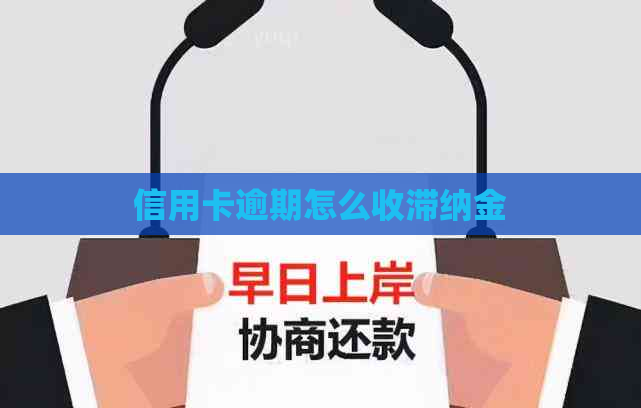 信用卡逾期怎么收滞纳金