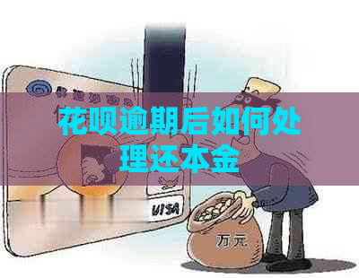 花呗逾期后如何处理还本金