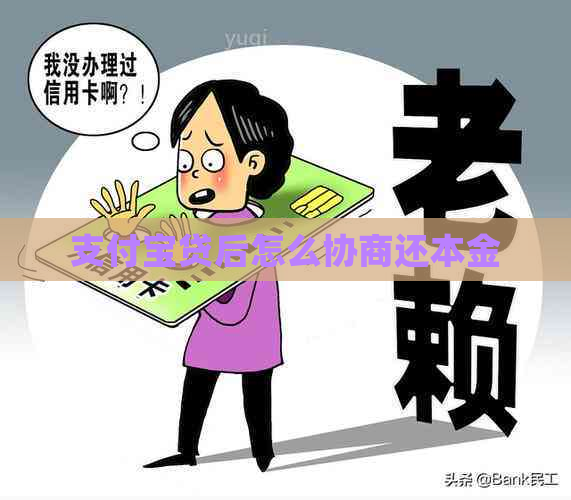 支付宝贷后怎么协商还本金