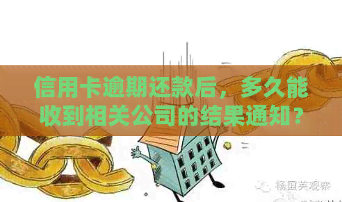 信用卡逾期还款后，多久能收到相关公司的结果通知？