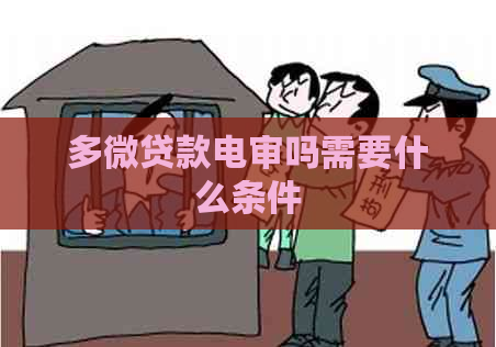 多微贷款电审吗需要什么条件