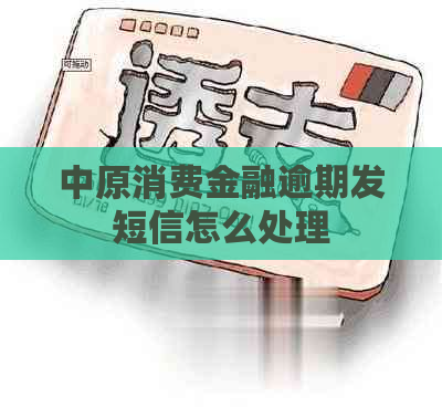 中原消费金融逾期发短信怎么处理