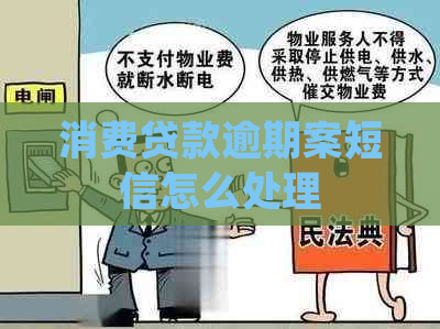 消费贷款逾期案短信怎么处理