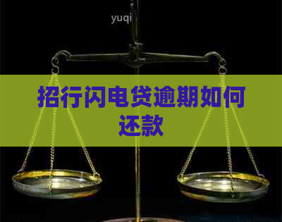 招行闪电贷逾期如何还款