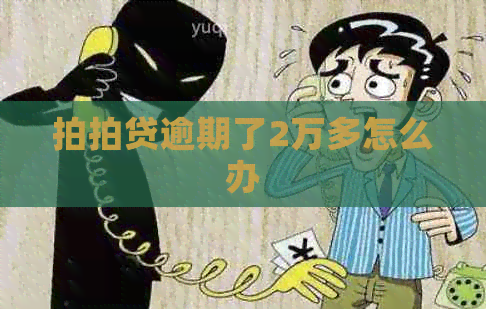 逾期了2万多怎么办