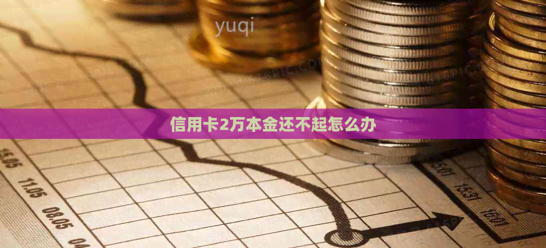 信用卡2万本金还不起怎么办