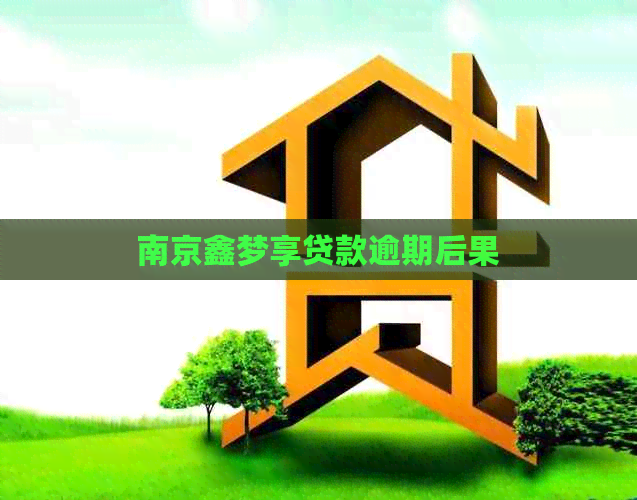 南京鑫梦享贷款逾期后果