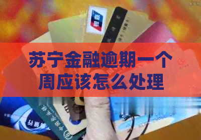 苏宁金融逾期一个周应该怎么处理