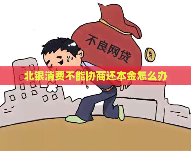 北银消费不能协商还本金怎么办