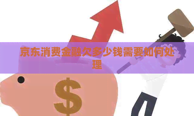 京东消费金融欠多少钱需要如何处理