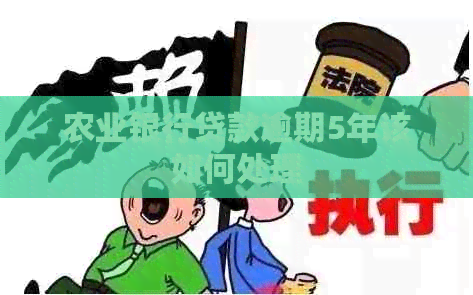 农业银行贷款逾期5年该如何处理