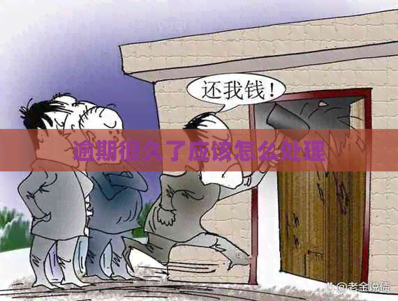 逾期很久了应该怎么处理