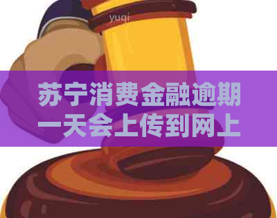 苏宁消费金融逾期一天会上传到网上吗