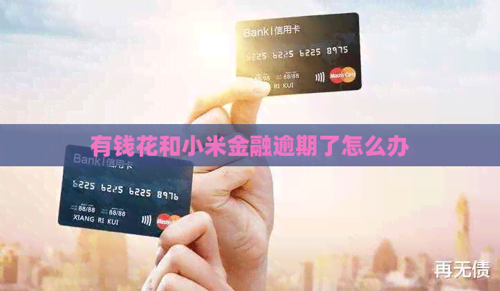 有钱花和小米金融逾期了怎么办