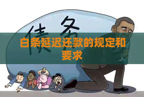 白条延迟还款的规定和要求