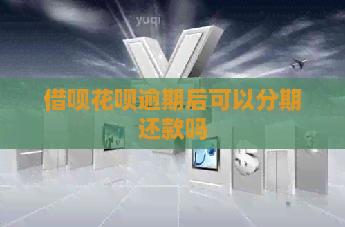 网贷信用卡逾期后可以分期还款吗