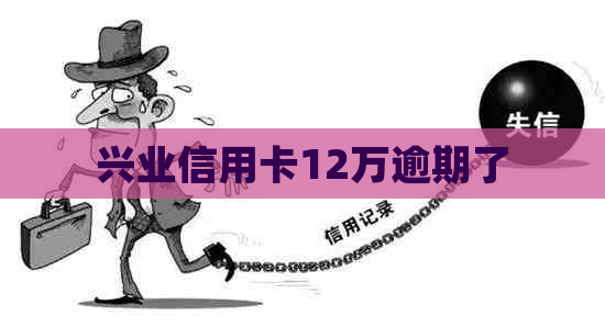 兴业信用卡12万逾期了