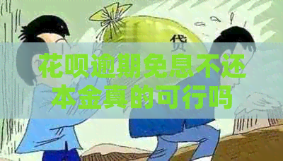信用卡逾期免息不还本金真的可行吗