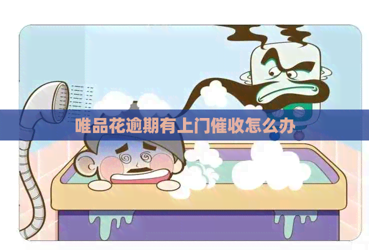 唯品花逾期有上门怎么办