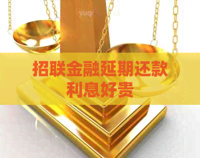 招联金融延期还款利息好贵