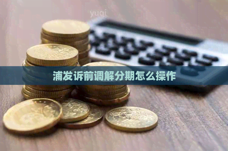 浦发诉前调解分期怎么操作
