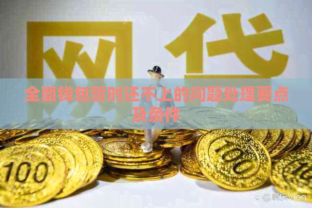 全面钱包暂时还不上的问题处理要点及条件