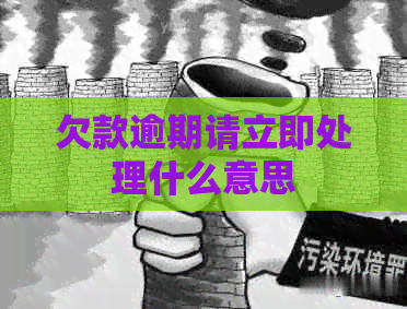 欠款逾期请立即处理什么意思