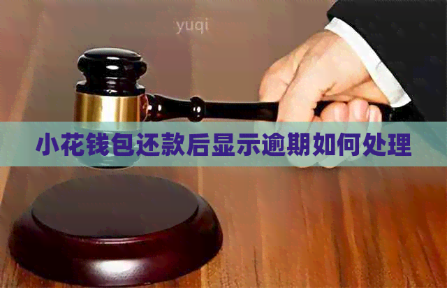 小花钱包还款后显示逾期如何处理